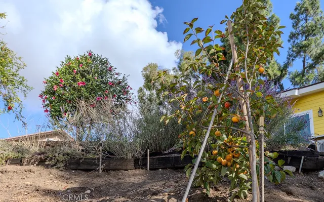 $3,500 | 7655 East Silver Dollar Lane, Anaheim Hills, CA 92808