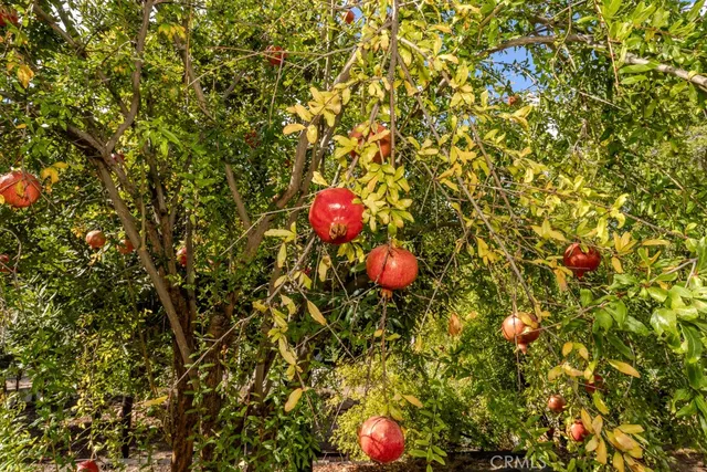 $3,500 | 7655 East Silver Dollar Lane, Anaheim Hills, CA 92808