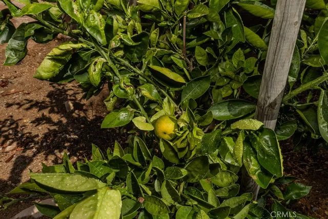 $3,500 | 7655 East Silver Dollar Lane, Anaheim Hills, CA 92808