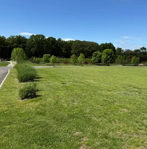 a view of a field with an trees