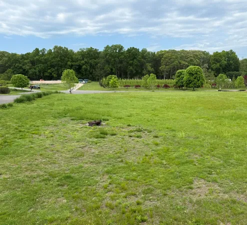 a view of a green field with clear sky