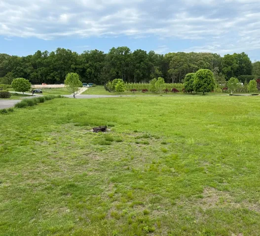 a view of a green field with clear sky