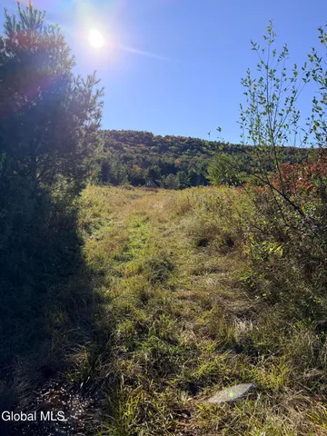 $28,900 | 36 St Rt 30 Off Gilboa Ny 12076, Gilboa, NY 12076