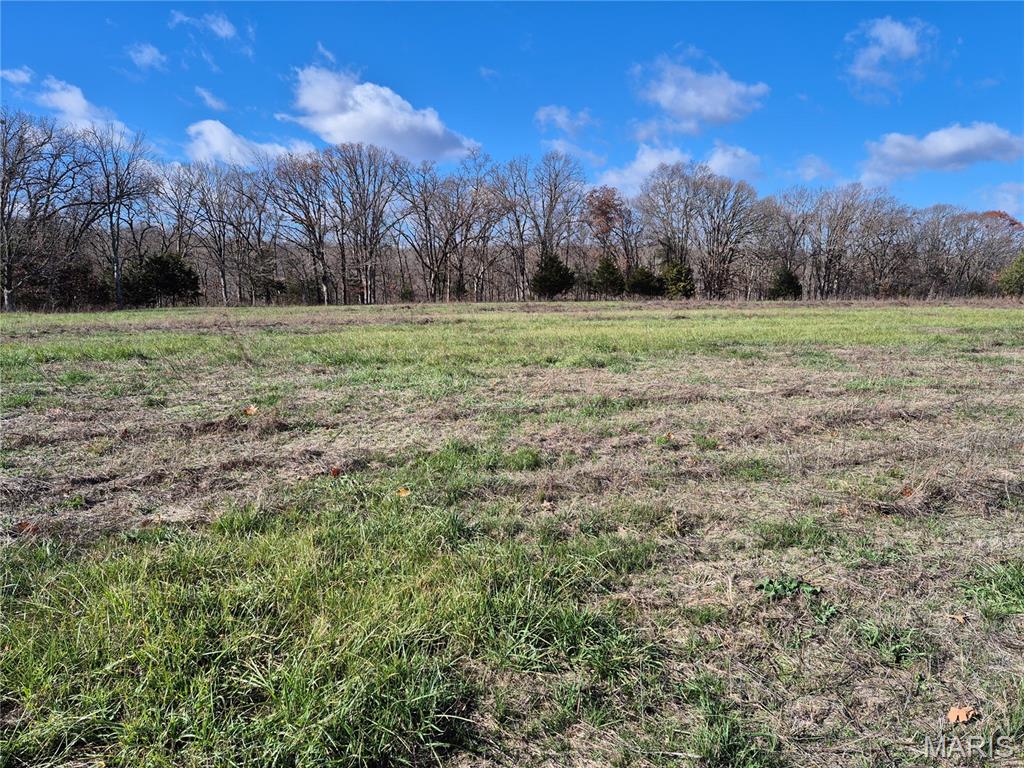 0 Logan School Road New Florence, MO 63363 - Photo 1 of 19
