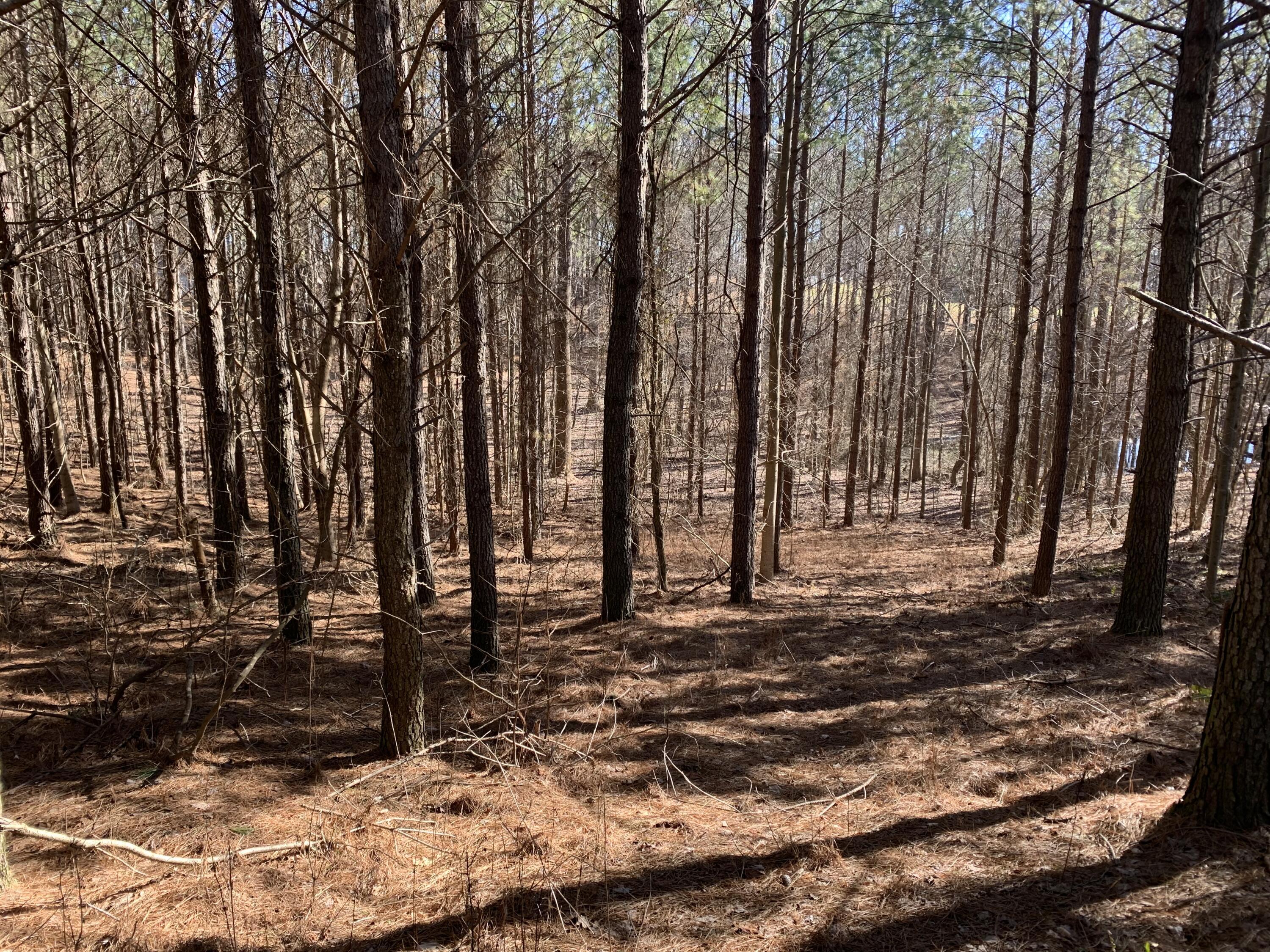 3261 Crockett Pointe, Unit JF130 Jasper, TN 37347 - Photo 5 of 31 8384D122-71D7-4757-8692-7DFED61EFEBC