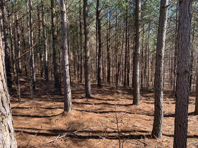 $101,000 | 3261 Crockett Pointe, Unit JF130, Jasper, TN 37347