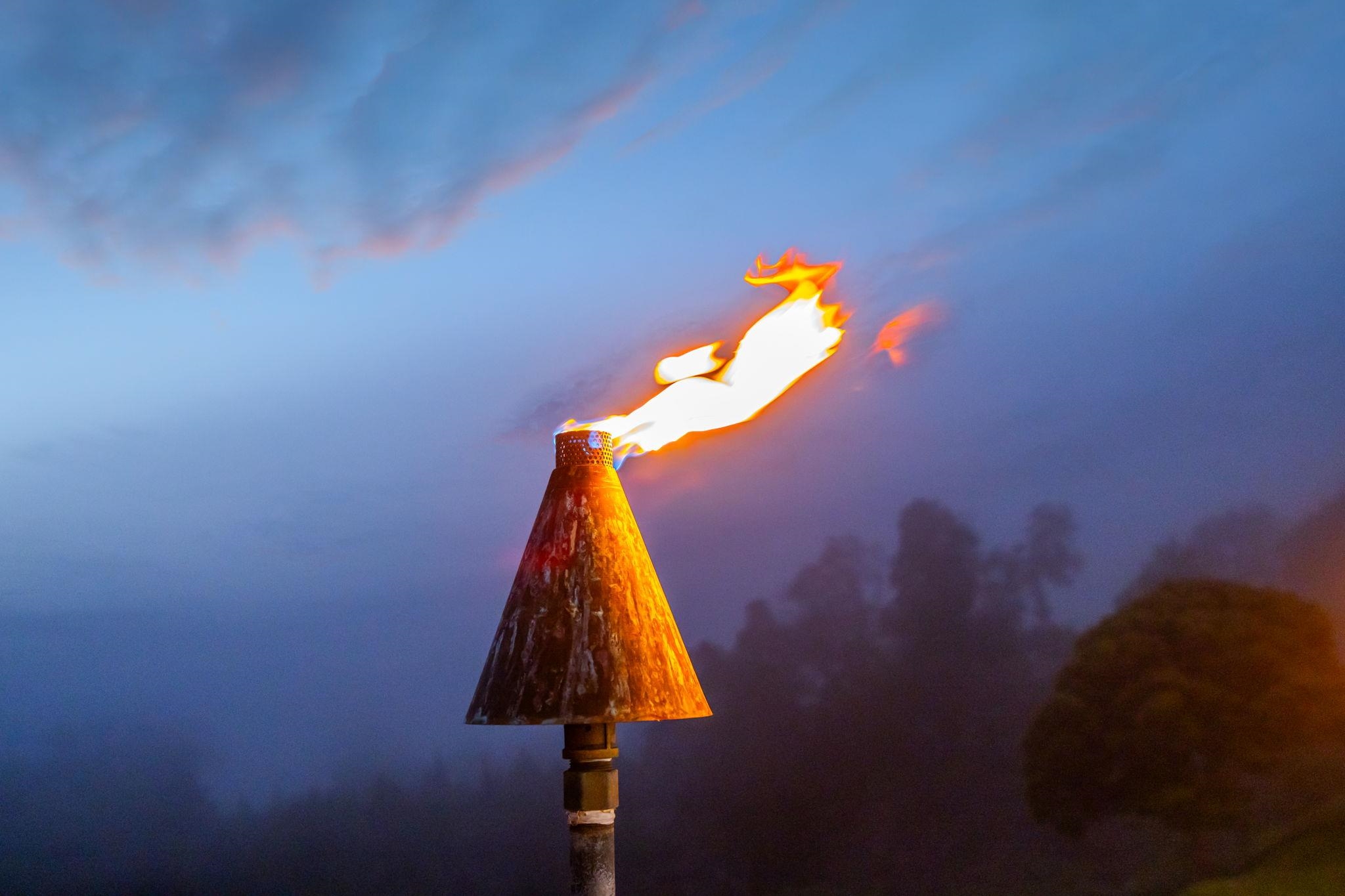 7733 Kula Highway Kula, HI 96790 - Photo 19 of 43