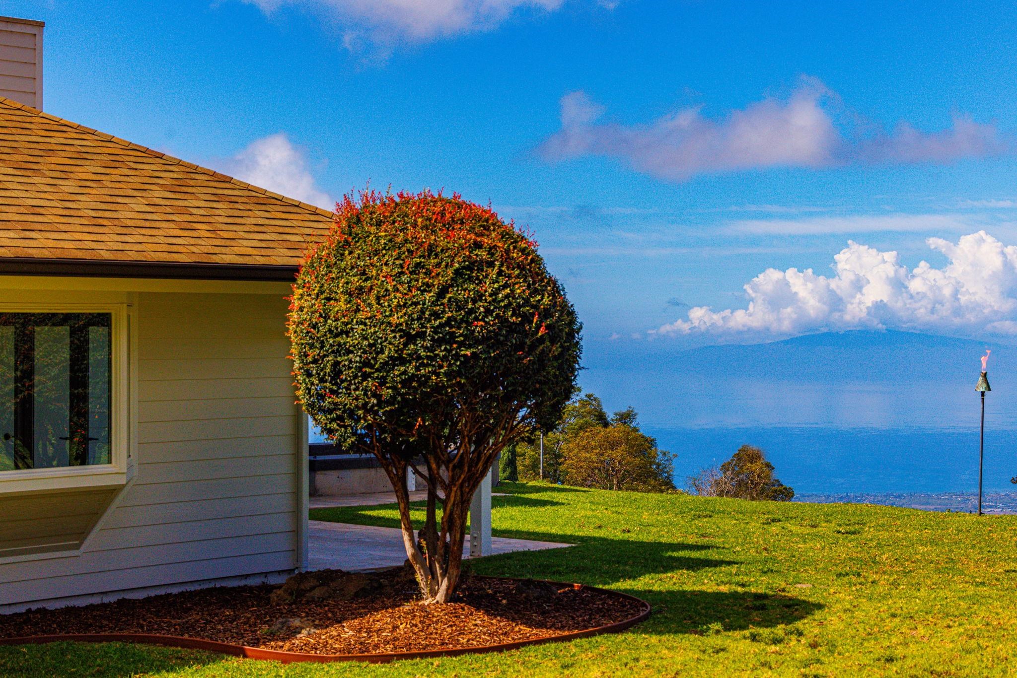 7733 Kula Highway Kula, HI 96790 - Photo 38 of 43 a view of a backyard