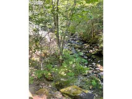 Oak Ridge Road White Salmon, WA 98672 - Photo 11 of 34