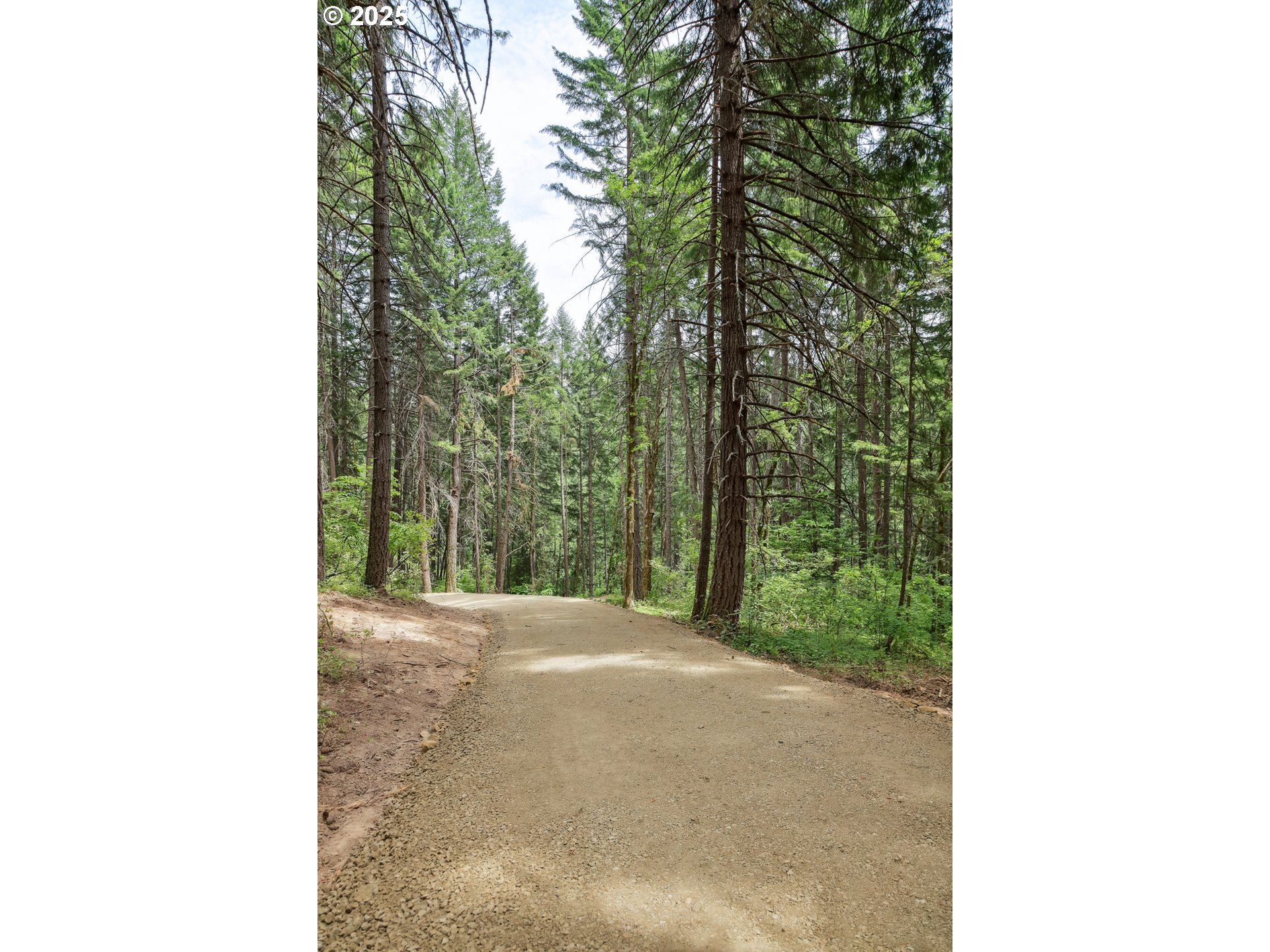 Oak Ridge Road White Salmon, WA 98672 - Photo 15 of 34 a view of a yard with plants and trees
