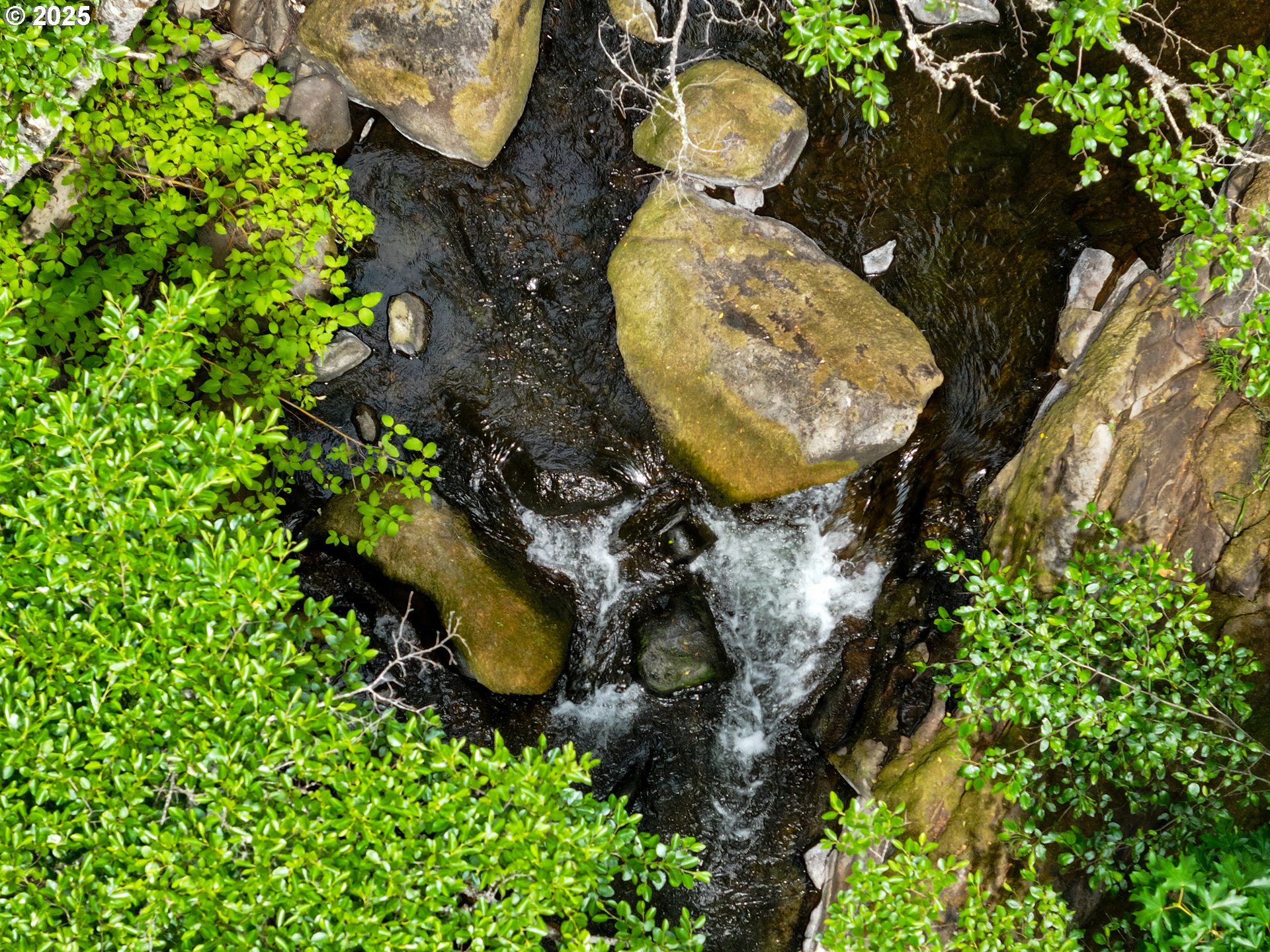 Oak Ridge Road White Salmon, WA 98672 - Photo 19 of 34 a aerial view of a backyard with fountain