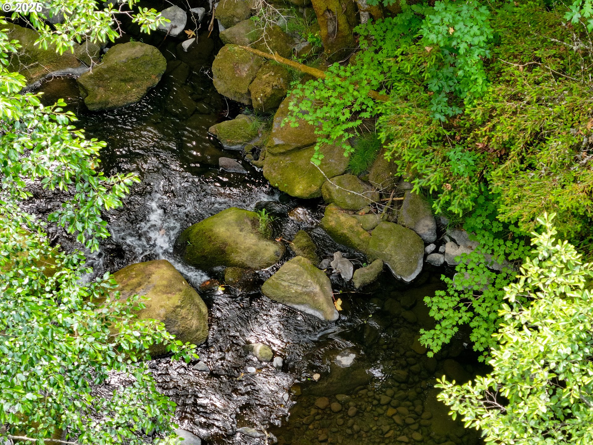 Oak Ridge Road White Salmon, WA 98672 - Photo 21 of 34 a backyard of a house with lots of green space