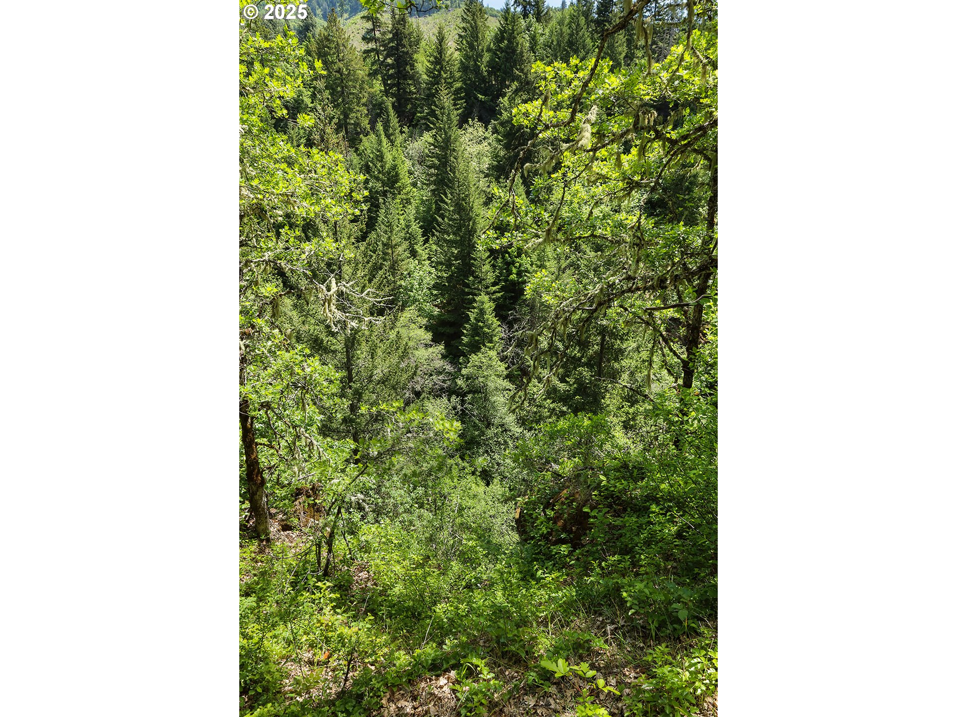 Oak Ridge Road White Salmon, WA 98672 - Photo 29 of 34 a picture of a city from a window