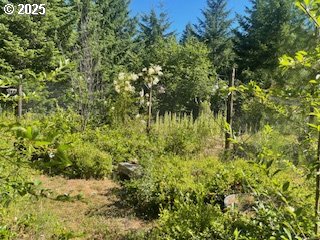 Oak Ridge Road White Salmon, WA 98672 - Photo 5 of 34 a view of a garden