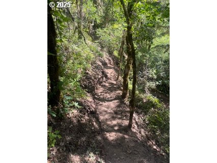 Oak Ridge Road White Salmon, WA 98672 - Photo 8 of 34 a backyard of a house