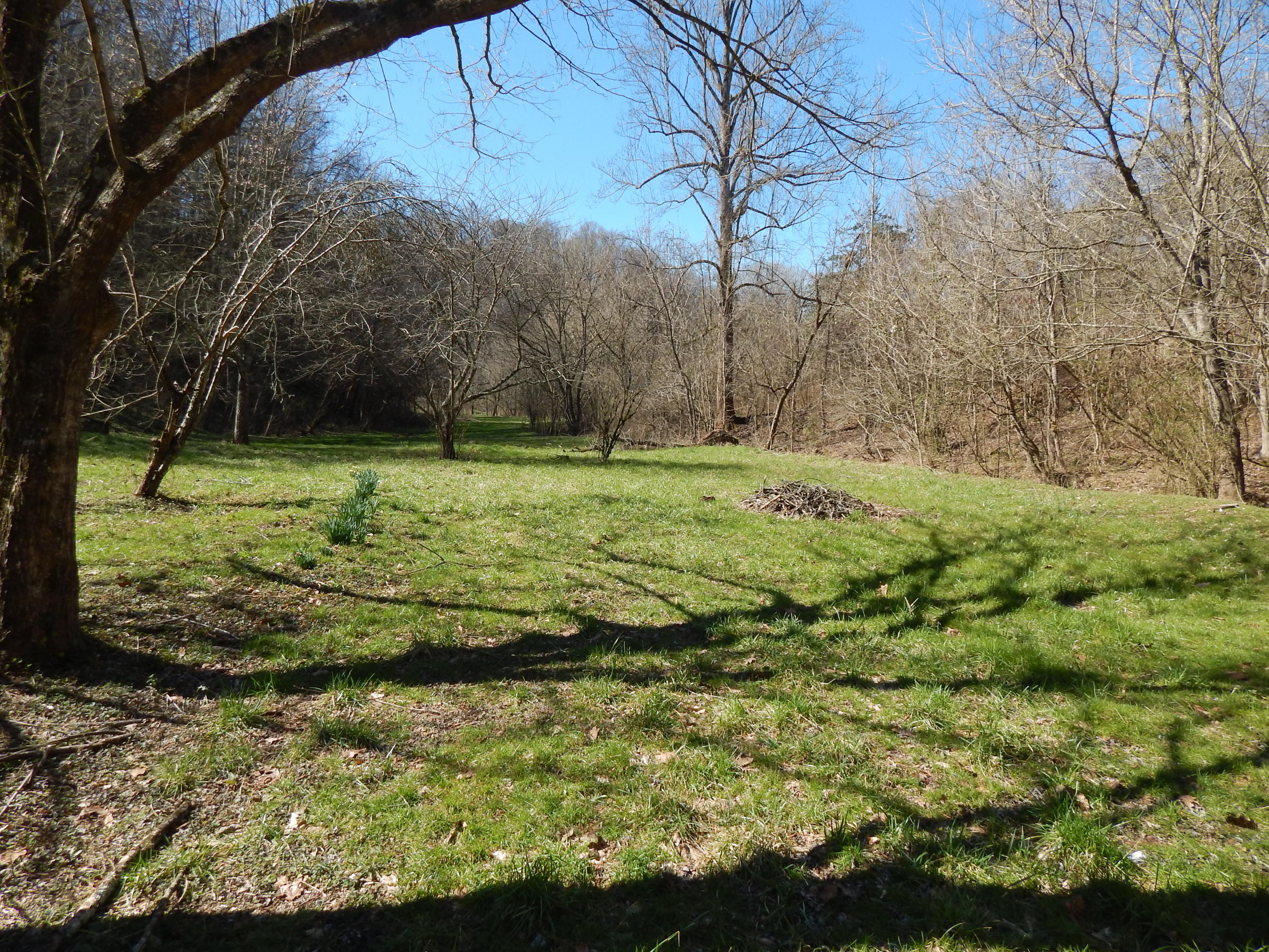 1695 Munsey Hatcher Road Seymour, TN 37865 - Photo 2 of 9 DSCN0320