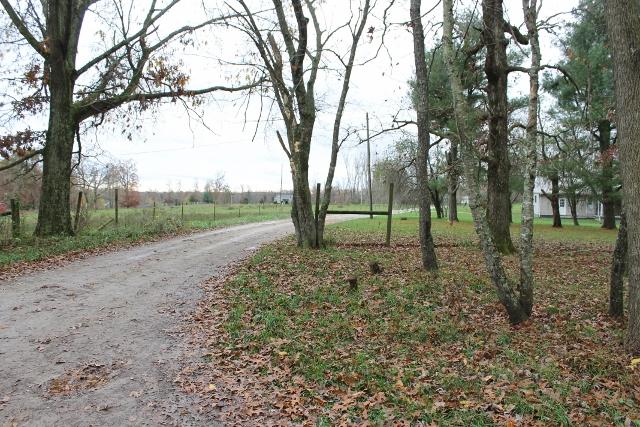 527 York Morgan Road Jamestown, TN 38556 - Photo 5 of 5 yard