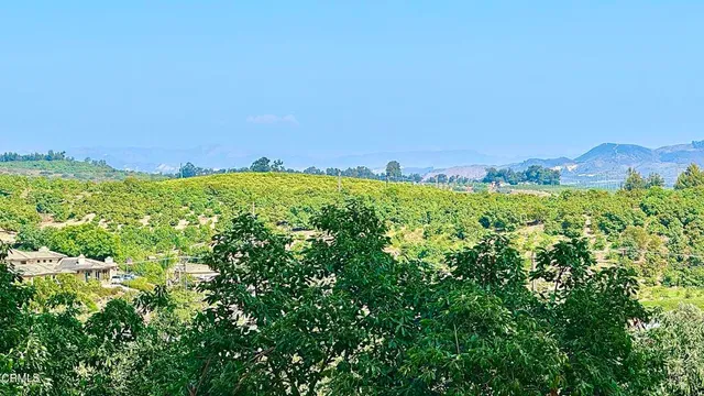 a view of a green field with lots of bushes