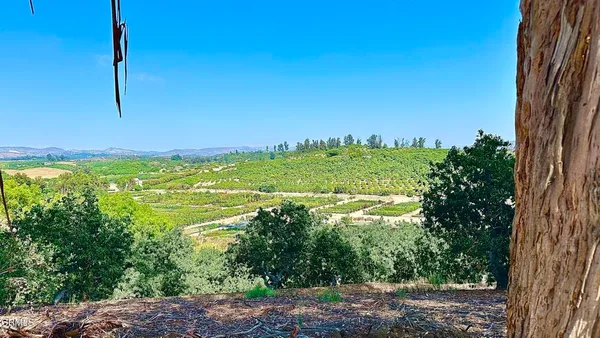 a view of a yard with an ocean view
