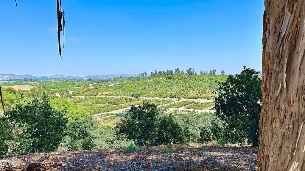 0 Manzanillo Drive Moorpark, CA 93021 - Photo 1 of 4 a view of a yard with an ocean view