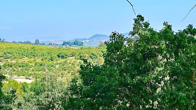 a view of a green field with lots of bushes