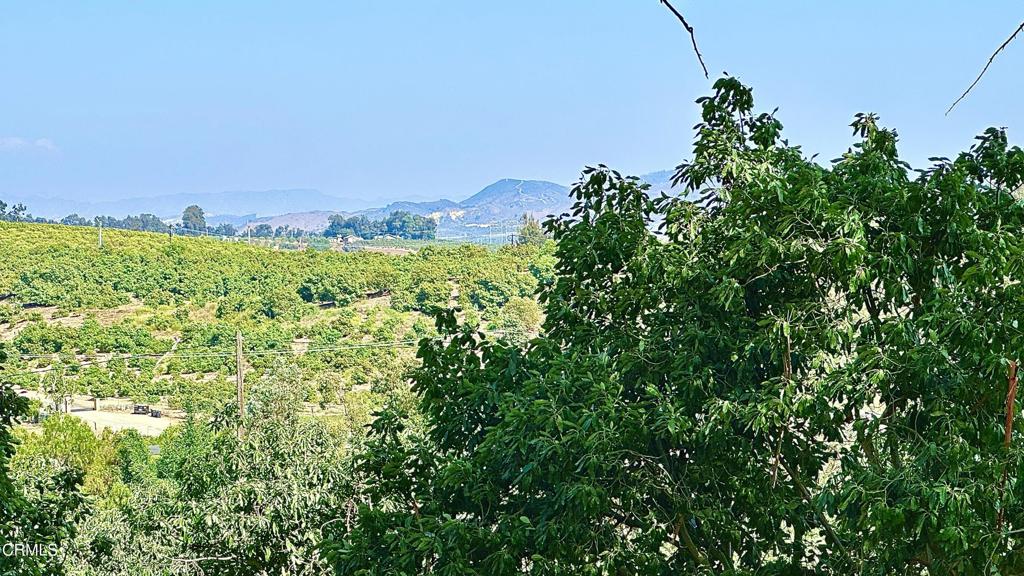 0 Manzanillo Drive Moorpark, CA 93021 - Photo 3 of 4 a view of a green field with lots of bushes