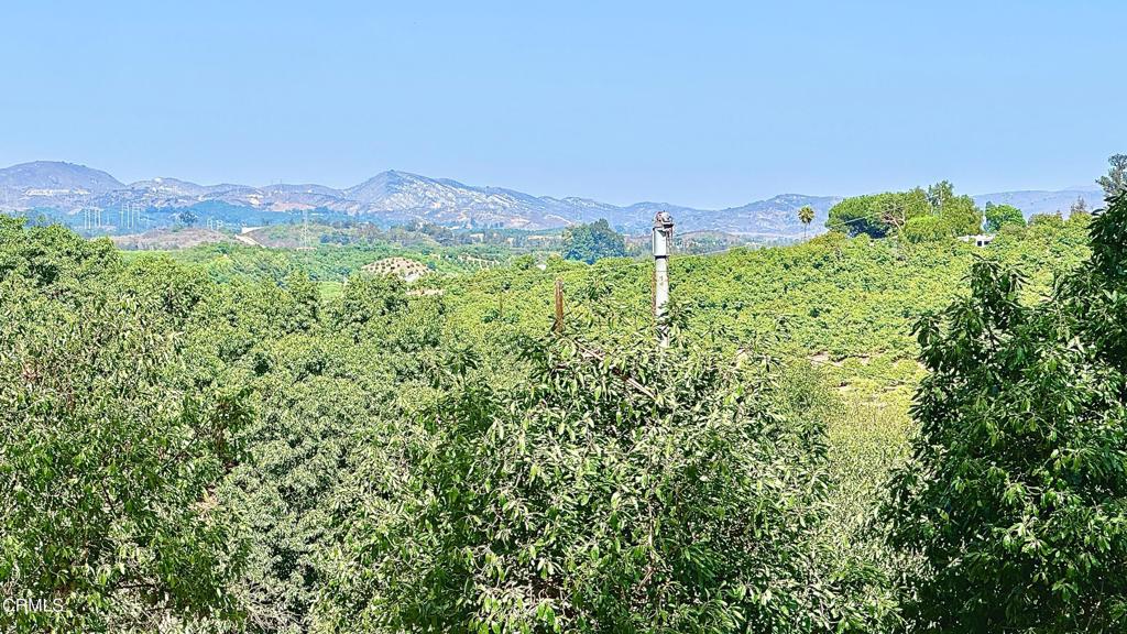 0 Manzanillo Drive Moorpark, CA 93021 - Photo 4 of 4 a view of a green field with lots of bushes