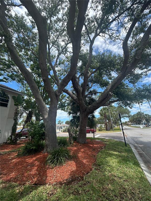 1612 1st Street Indian Rocks Beach, FL 33785 - Photo 16 of 19