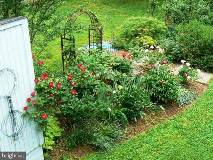 7507 Arden Road Cabin John, MD 20818 - Photo 14 of 30 View from the deck