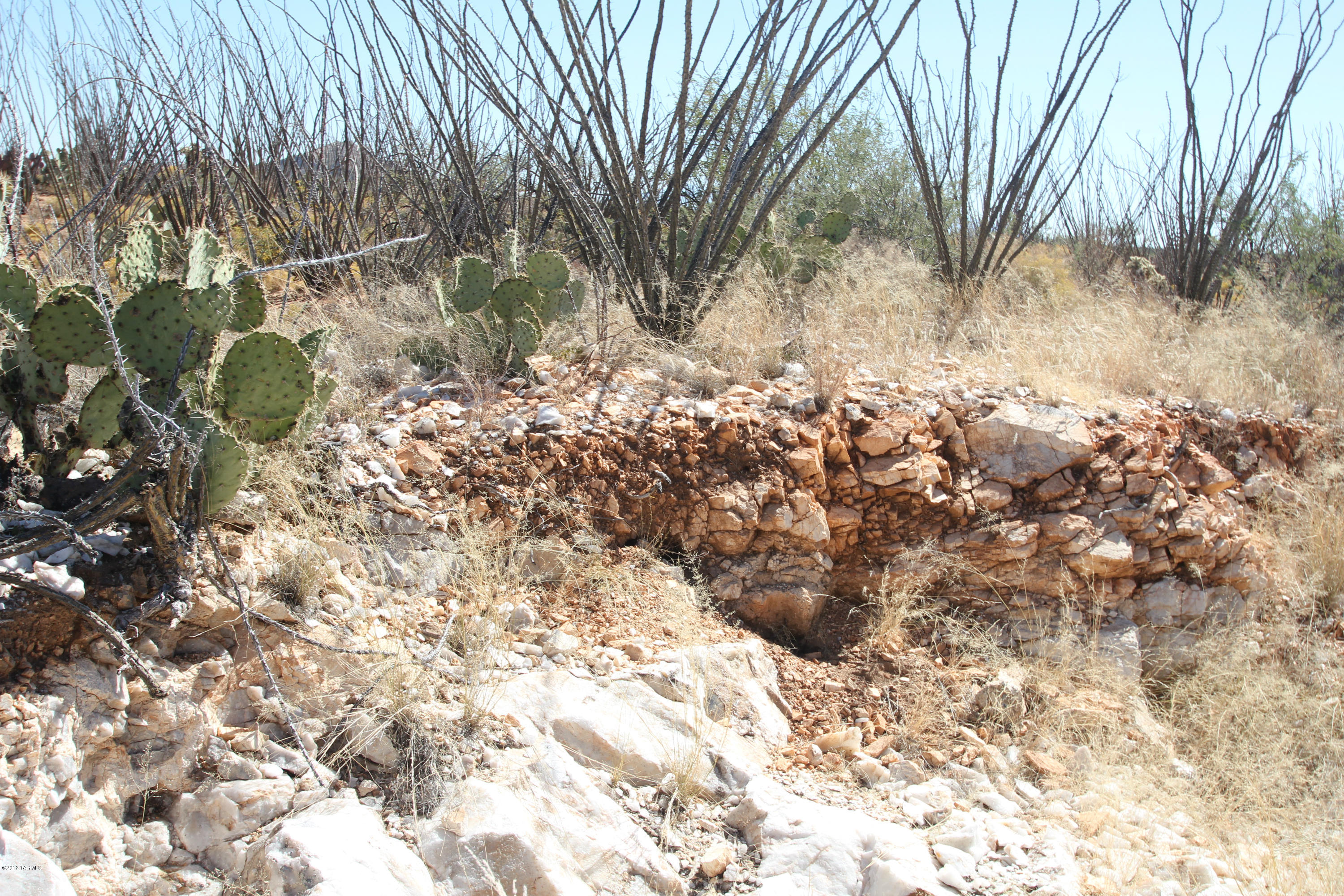 Pinto Road Sahuarita, AZ 85629 - Photo 15 of 17