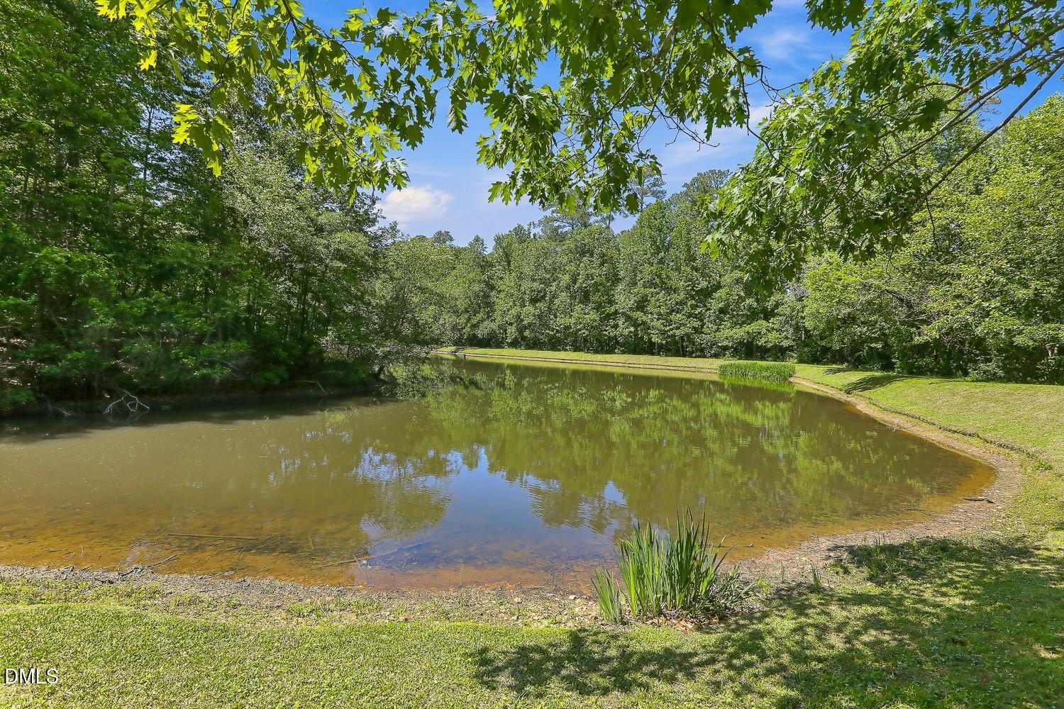 8208 Aberloch Court Raleigh, NC 27606 - Photo 79 of 80 099-093-Community Pond-1500x1000
