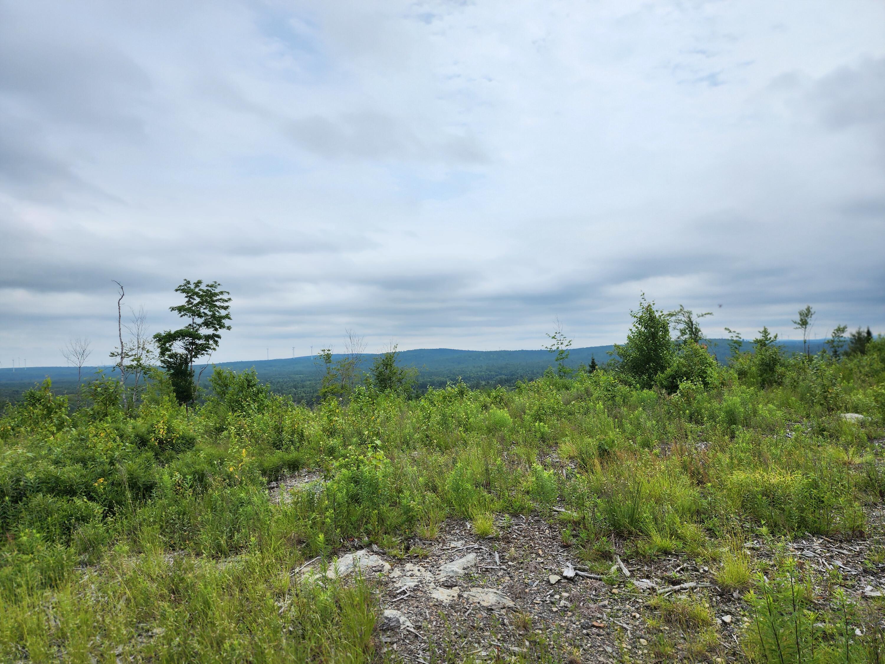 213 Moose Hl Road Ellsworth, ME 04605 - Photo 27 of 34 20250701_115221