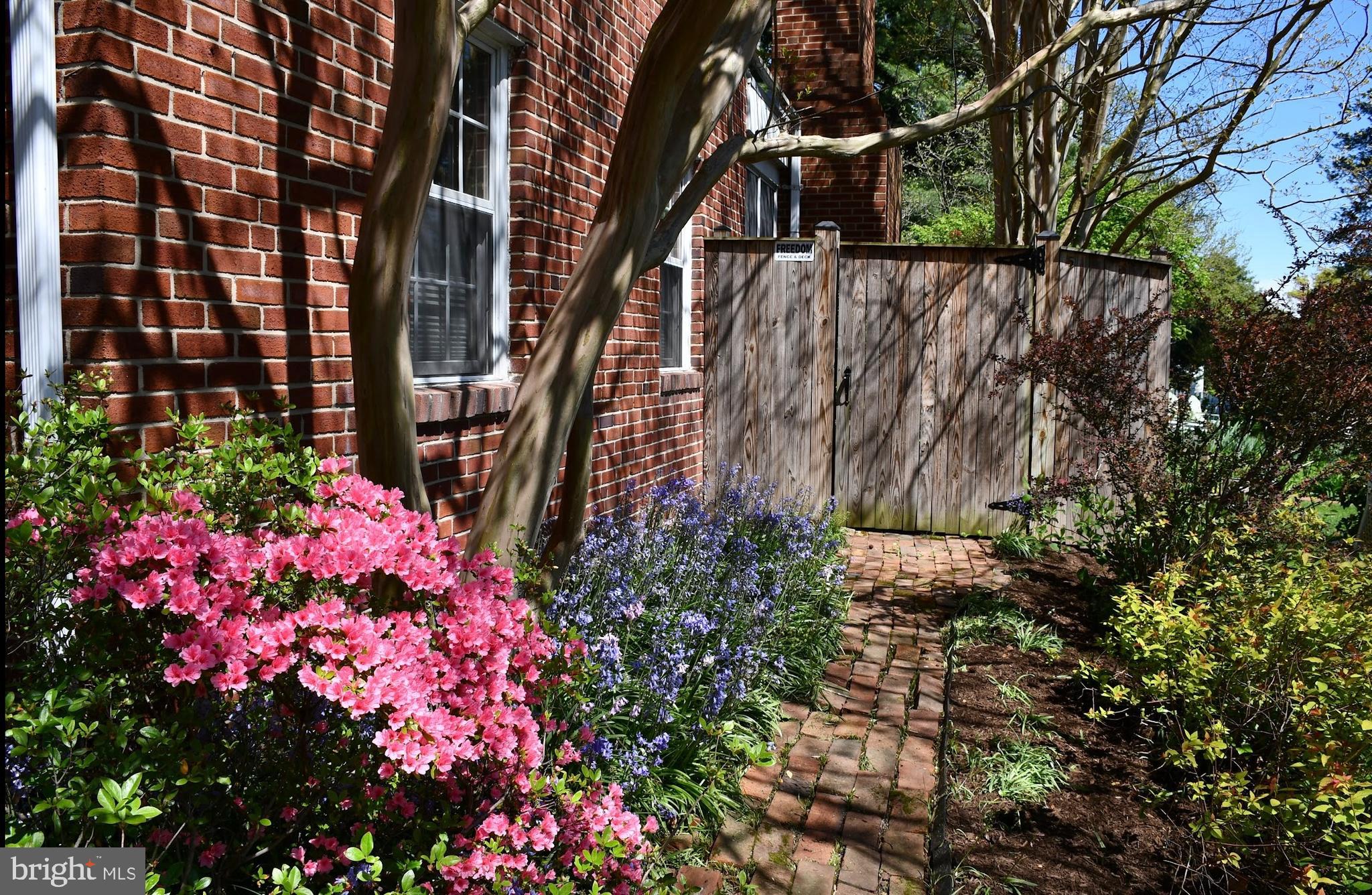417 Terrace Way Towson, MD 21204 - Photo 48 of 73 Pretty flowers!