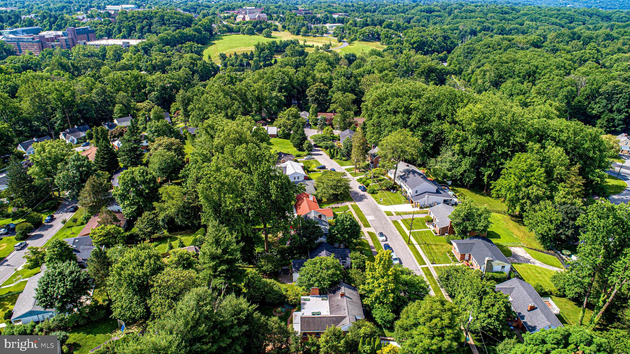 417 Terrace Way Towson, MD 21204 - Photo 63 of 73