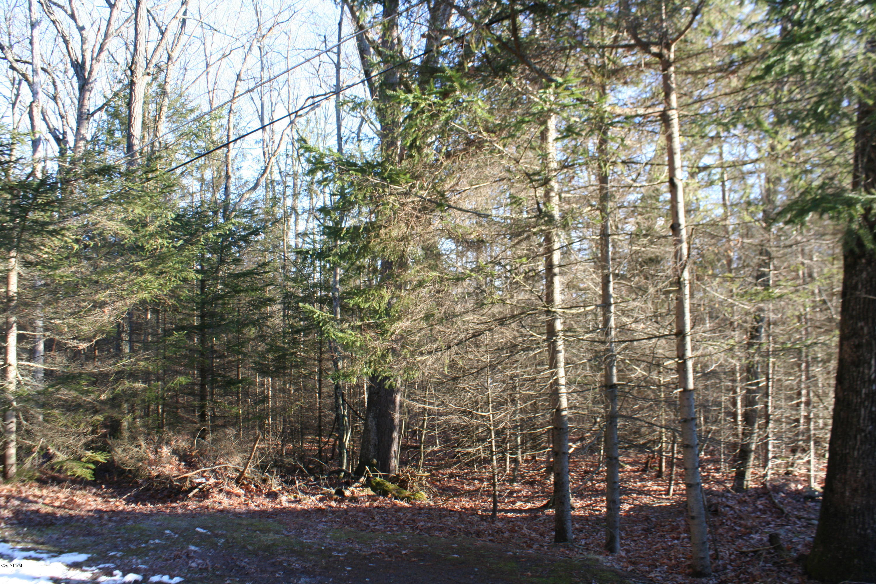 8 Pheasant Hill Road Hawley, PA 18428 - Photo 15 of 16
