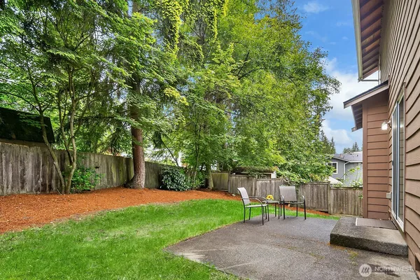 a view of a backyard with a tree