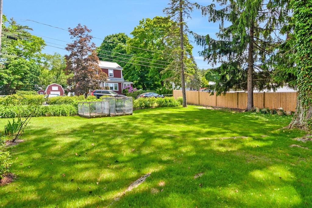 15 Evans Road Needham, MA 02492 - Photo 3 of 30 a garden view