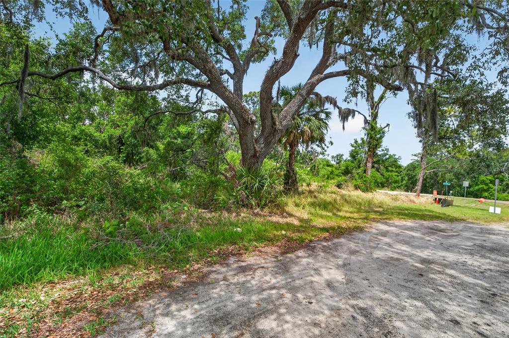 2819 Saffold Road Wimauma, FL 33598 - Photo 12 of 34
