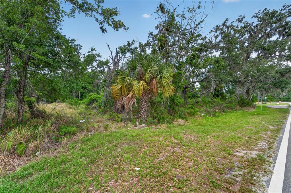 2819 Saffold Road Wimauma, FL 33598 - Photo 13 of 34