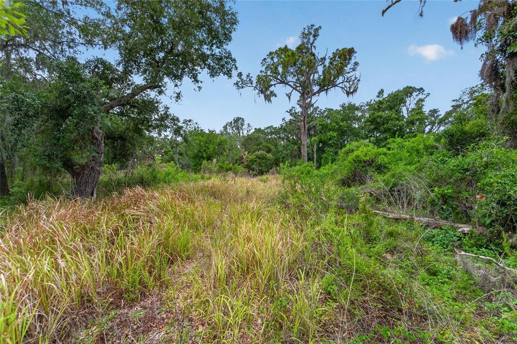 2819 Saffold Road Wimauma, FL 33598 - Photo 14 of 34