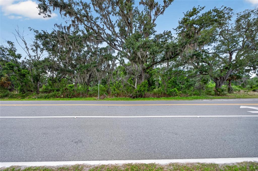 2819 Saffold Road Wimauma, FL 33598 - Photo 6 of 34