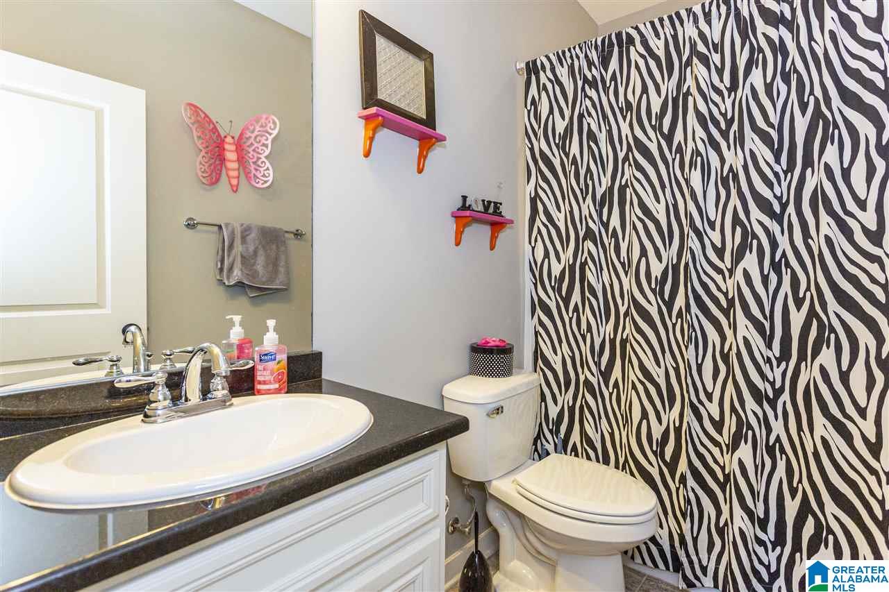 451 Lake Chelsea Way Chelsea, AL 35043 - Photo 21 of 34