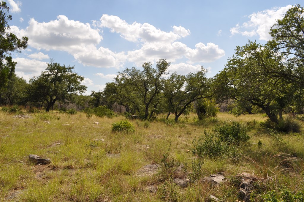 541 Rough Hollow Road Johnson City, TX 78636 - Photo 11 of 30 Gallery Image 11