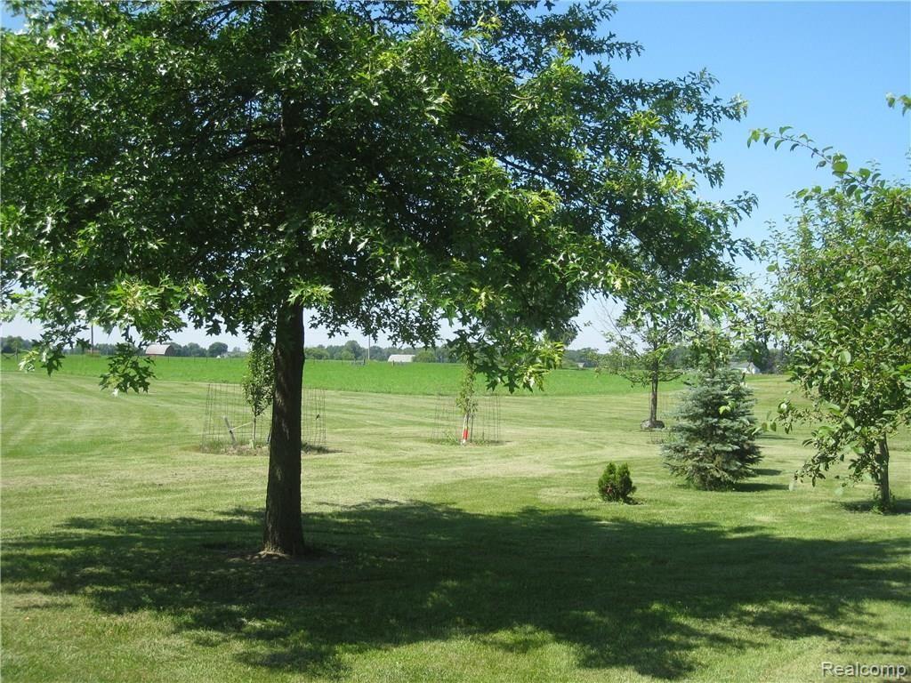 1243 Barnes Road Mayville, MI 48744 - Photo 29 of 45 2013-07-12 00.10