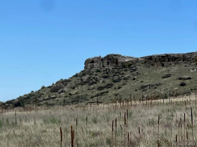 11977 Haskell Creek Road Larkspur, CO 80118 - Photo 21 of 29