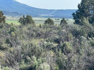 0 Council Butte, Unit LOT 7 Beatty, OR 97621 - Photo 2 of 4 2