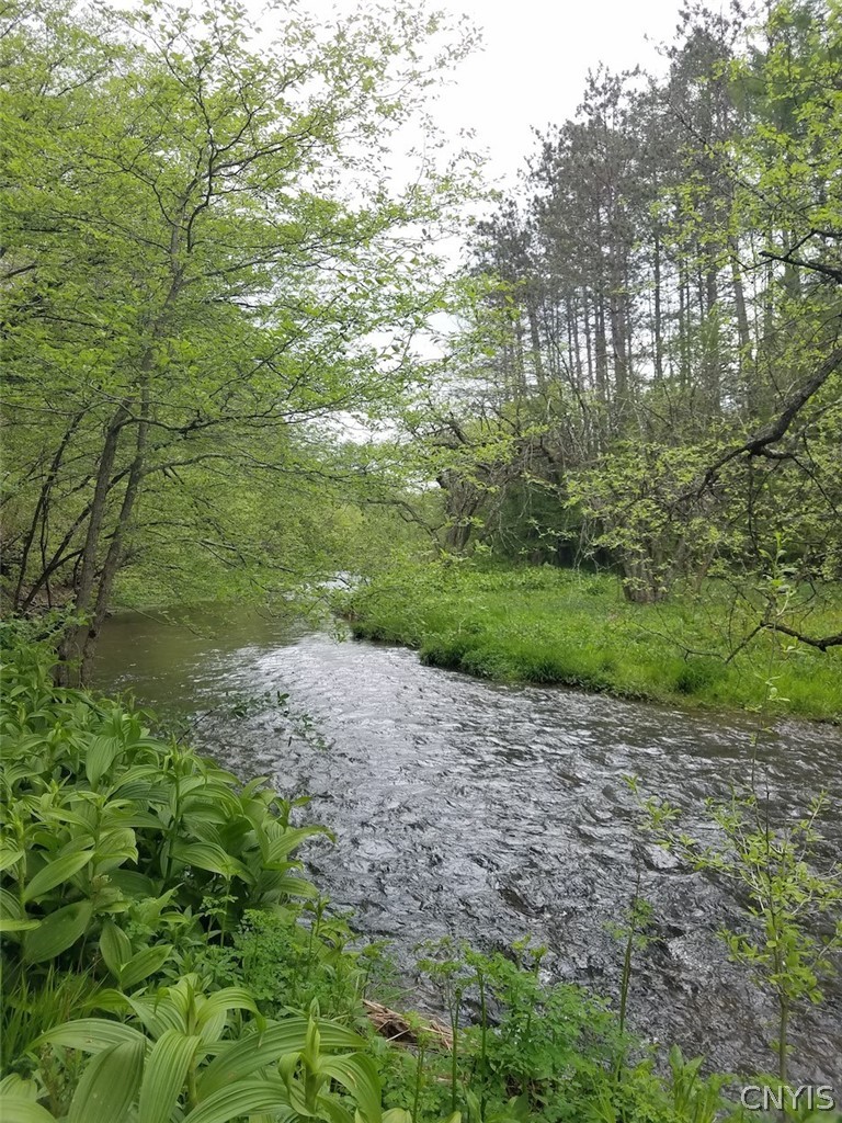 1720 County Route 12 De Ruyter, NY 13052 - Photo 20 of 49