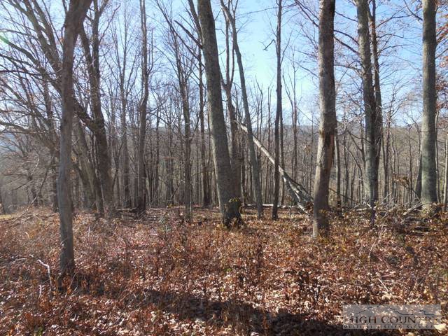 Big Hill Road Boone, NC 28607 - Photo 12 of 13 Gallery Image 12