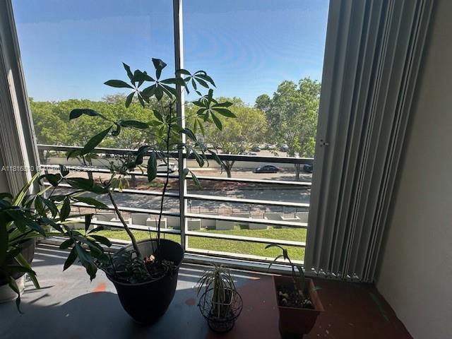 Kendale Lakes Miami, FL 33183 - Photo 9 of 19 a view of a potted plant in front of a window