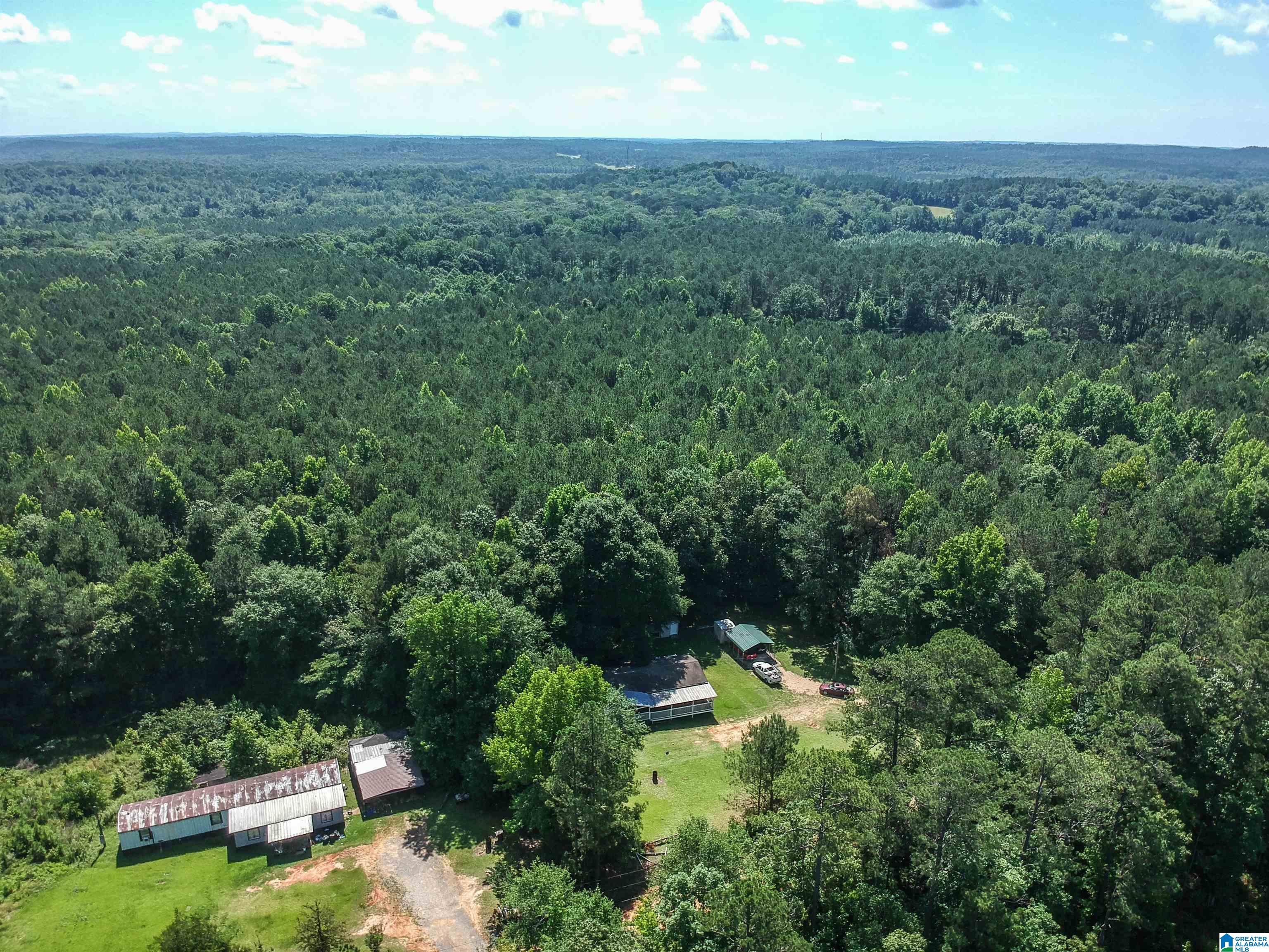 184 Price Road Reform, AL 35481 - Photo 6 of 51 Gallery Image 6
